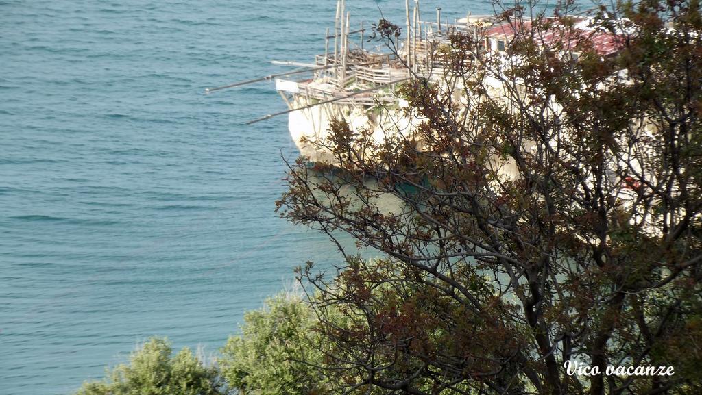 B&B Vico Vacanze Vico del Gargano Kültér fotó