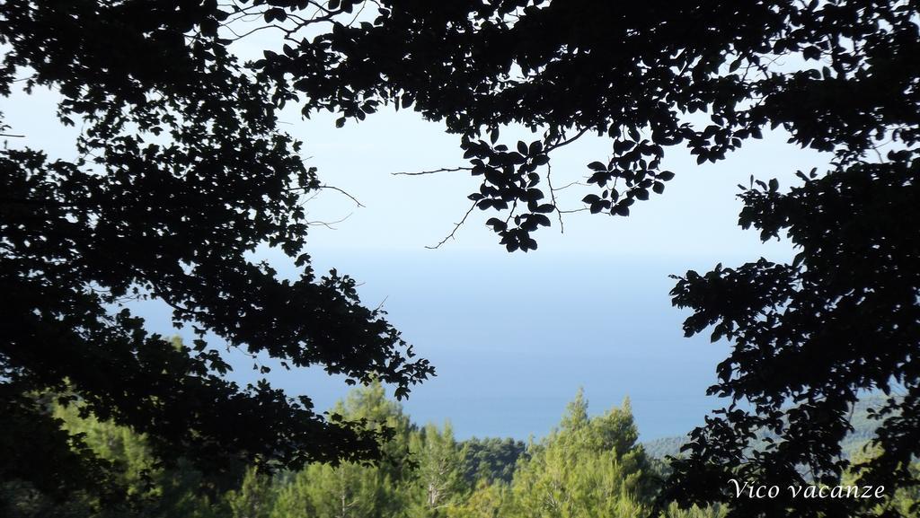 B&B Vico Vacanze Vico del Gargano Kültér fotó