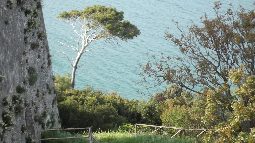 B&B Vico Vacanze Vico del Gargano Kültér fotó