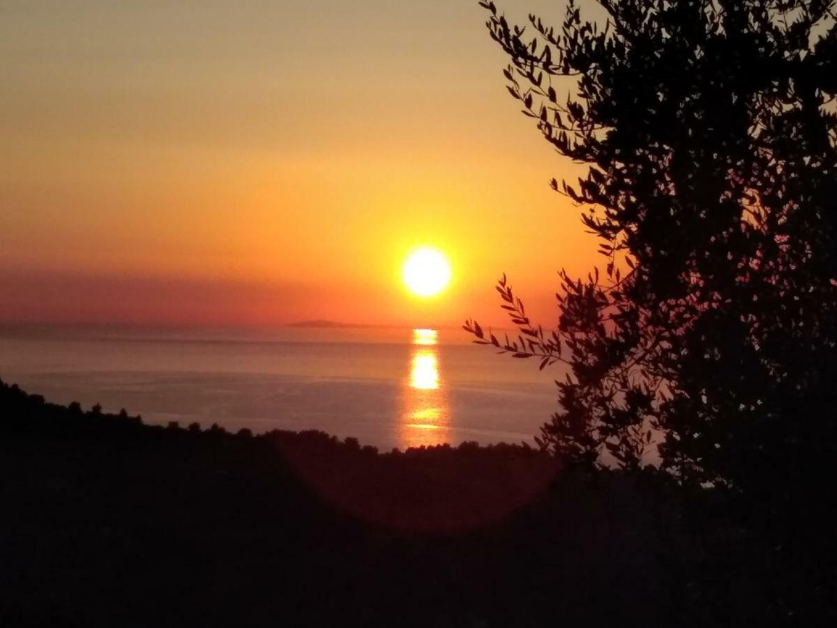 B&B Vico Vacanze Vico del Gargano Kültér fotó
